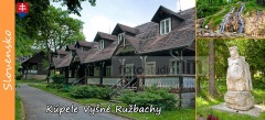 magnetka 5 x 11 cm, č.: ruzb004